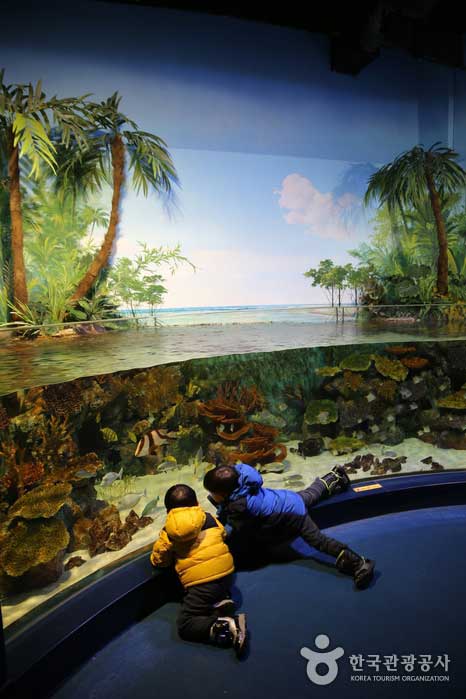 경포아쿠아리움