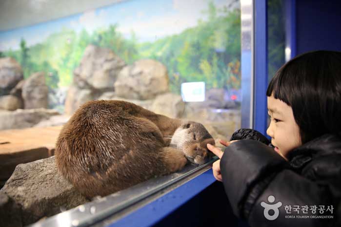 경포아쿠아리움