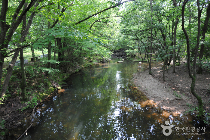 도솔계곡(선운산)