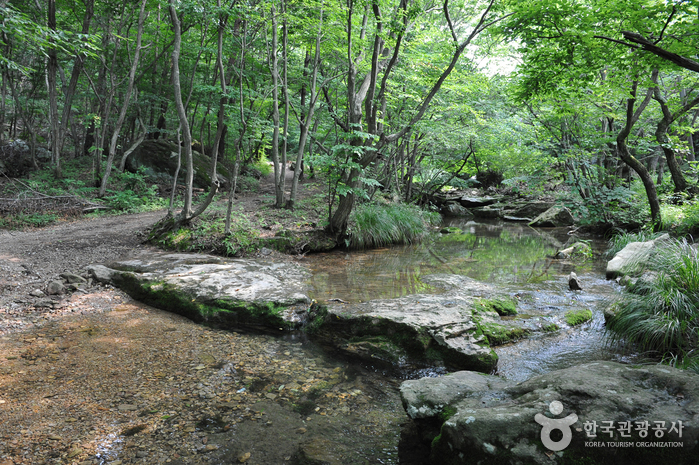 도솔계곡(선운산)