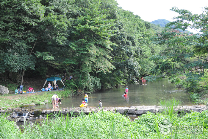 도솔계곡(선운산)
