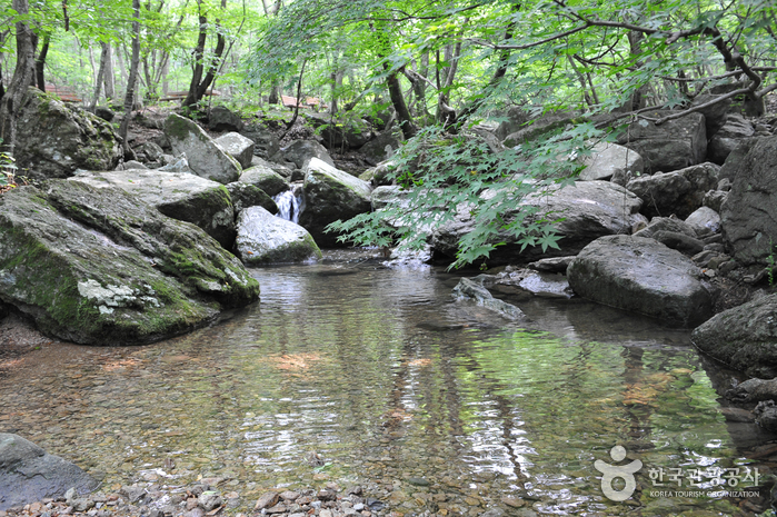 도솔계곡(선운산)