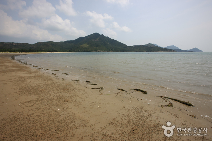 도초 시목해수욕장