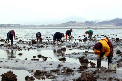 돌머리어촌체험마을