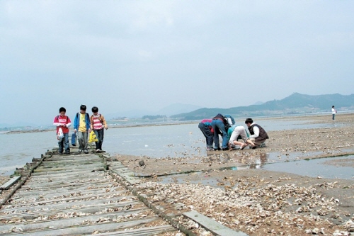 돌머리어촌체험마을