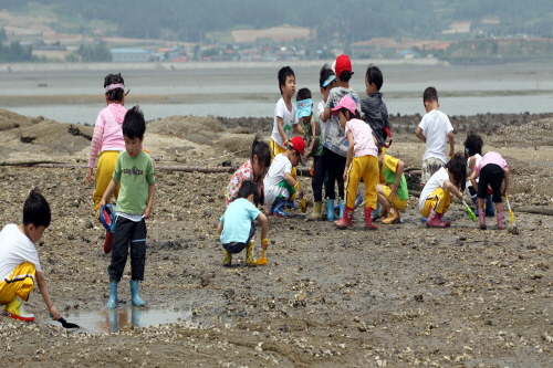 돌머리어촌체험마을
