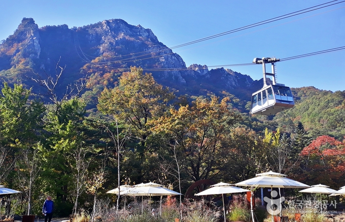 설악산 케이블카