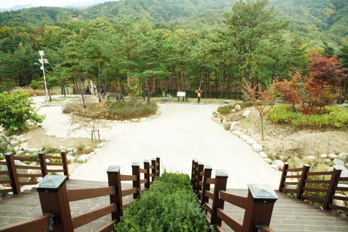 설악산자생식물원