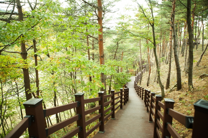 설악산자생식물원