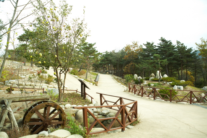 설악산자생식물원