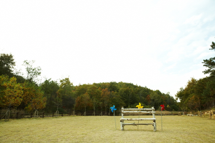 설악산자생식물원