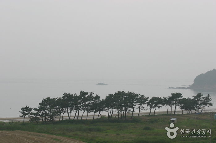 장삼포해수욕장