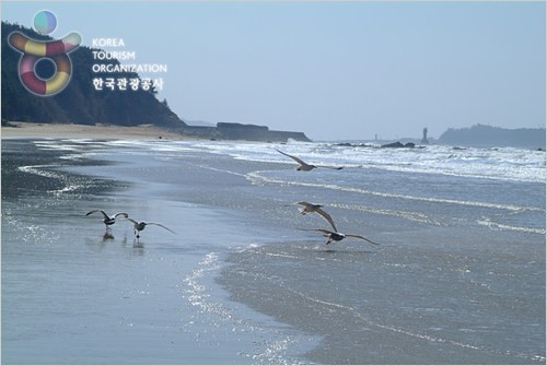 장삼포해수욕장