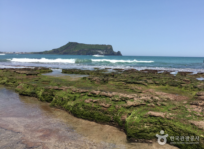 성산일출봉 [유네스코 세계자연유산]