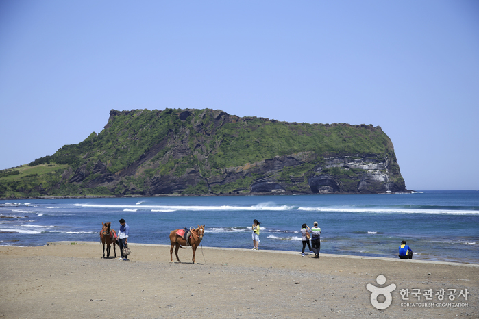 성산일출봉 [유네스코 세계자연유산]