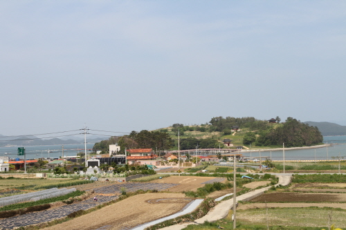 장좌마을