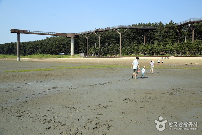 장항 스카이워크 (기벌포 해전 전망대)