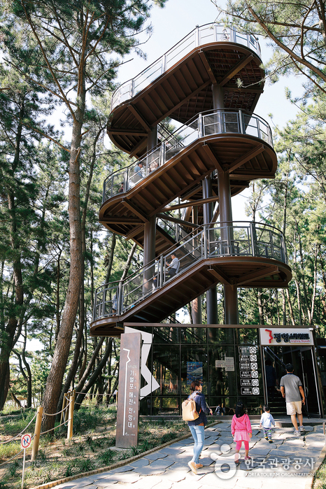 장항 스카이워크 (기벌포 해전 전망대)