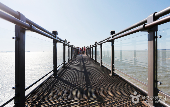 장항 스카이워크 (기벌포 해전 전망대)