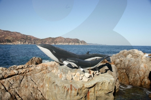 장호어촌체험마을
