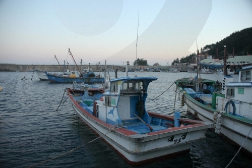 장호어촌체험마을