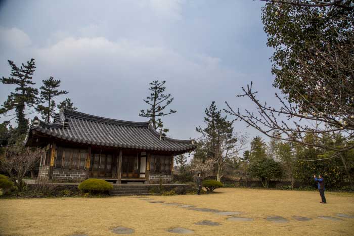 노리매