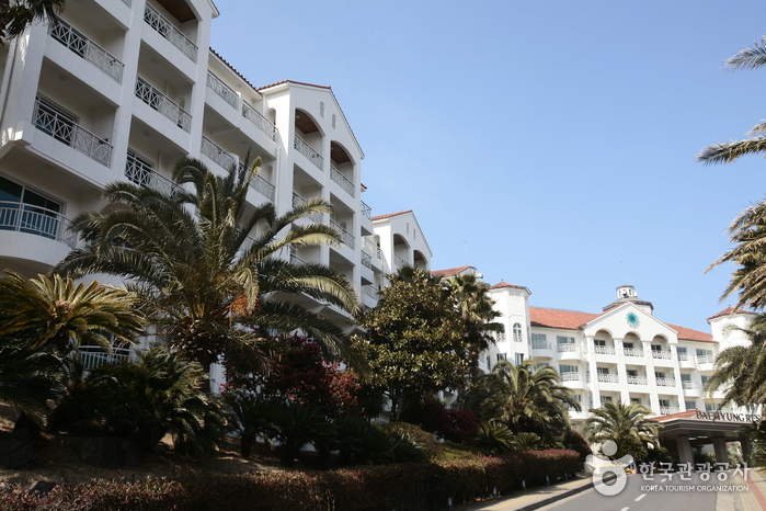 소노벨 제주(구 대명리조트 제주)