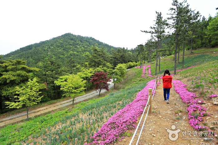 덕암산꽃누리생태공원