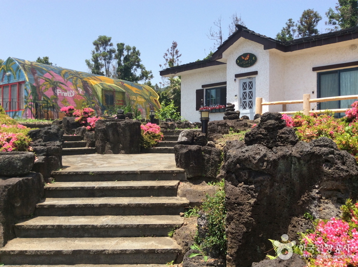 제주 라임오렌지빌