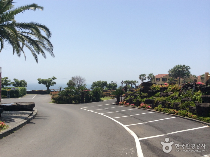 제주 라임오렌지빌