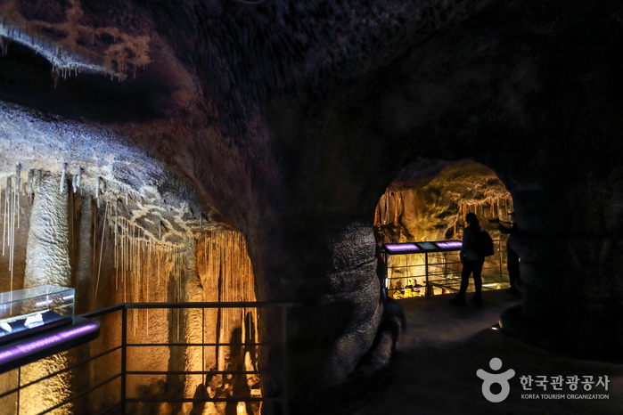 제주 세계자연유산센터