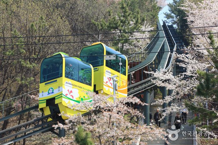 제황산공원