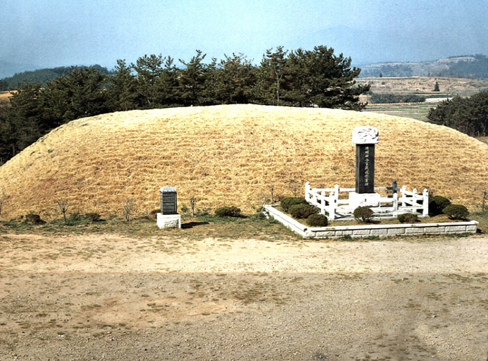 조명군총