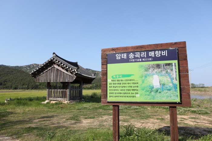 암태도 매향비