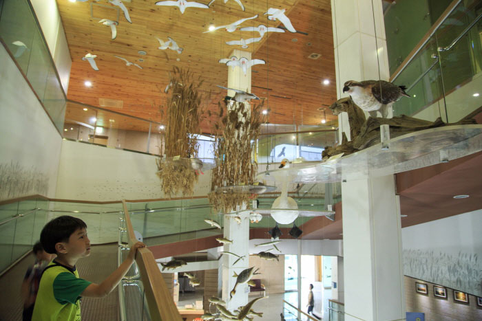 을숙도에코센터