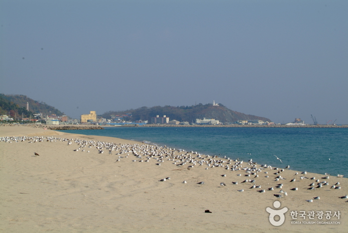 후포해수욕장