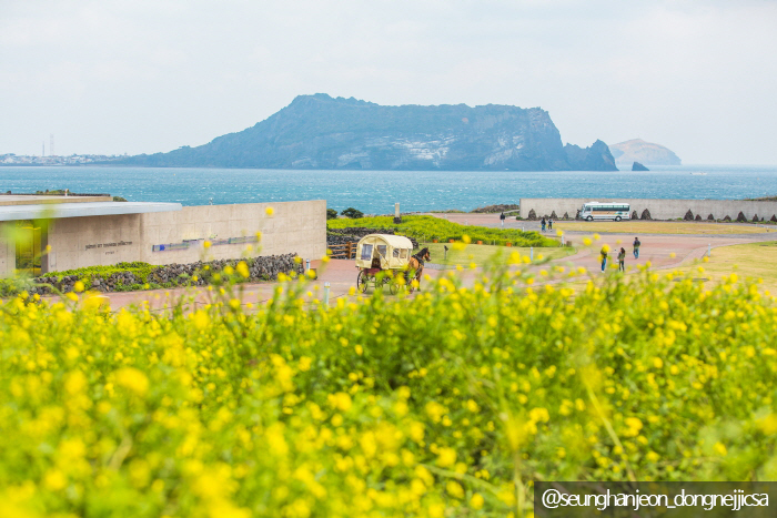 섭지코지산책로