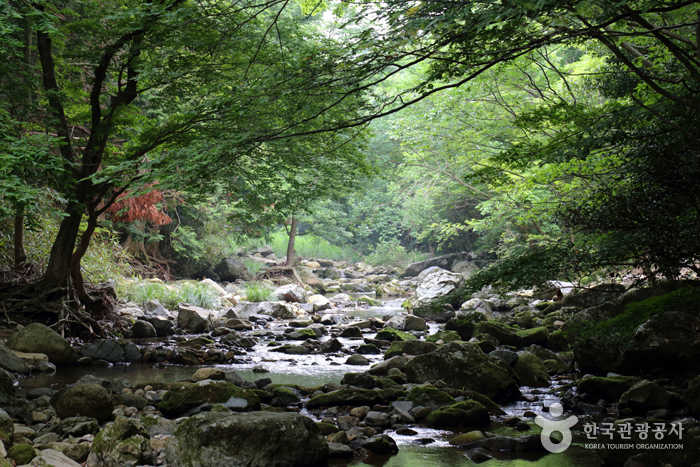 장춘숲길