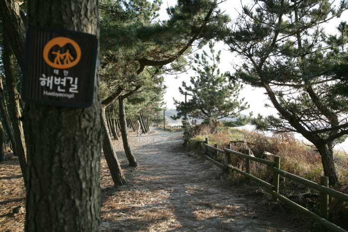 태안해변길