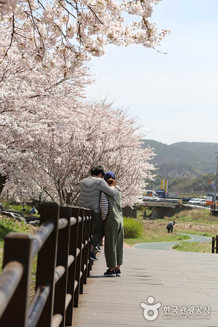해미천변