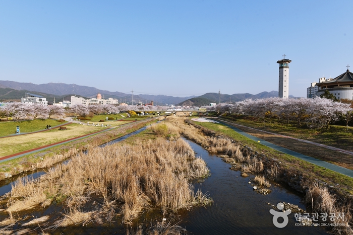 해미천변