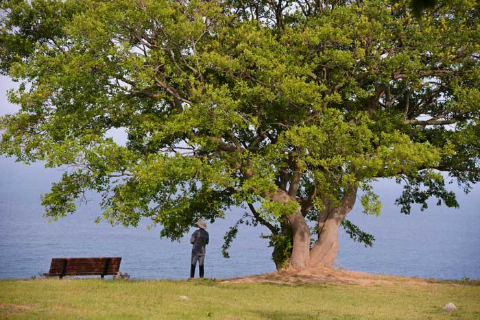 후포항 등기산공원