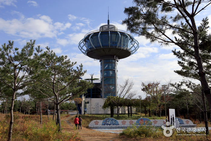 관동별곡 8백리길 제 8구간