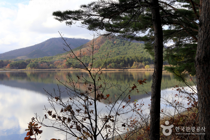 관동별곡 8백리길 제 8구간