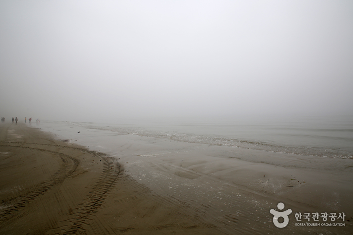 오군포·장촌 해안길