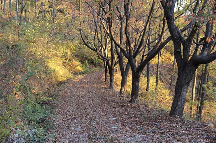 해안누리길53코스