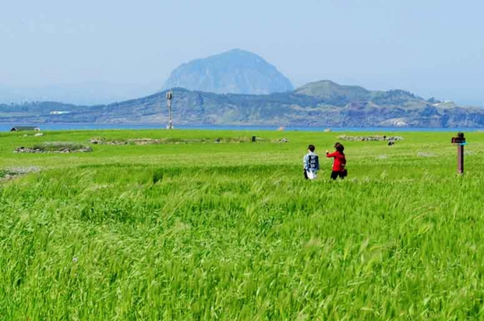 마라도 가파도 정기여객선