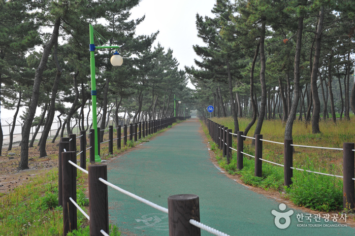 사천 해수욕장