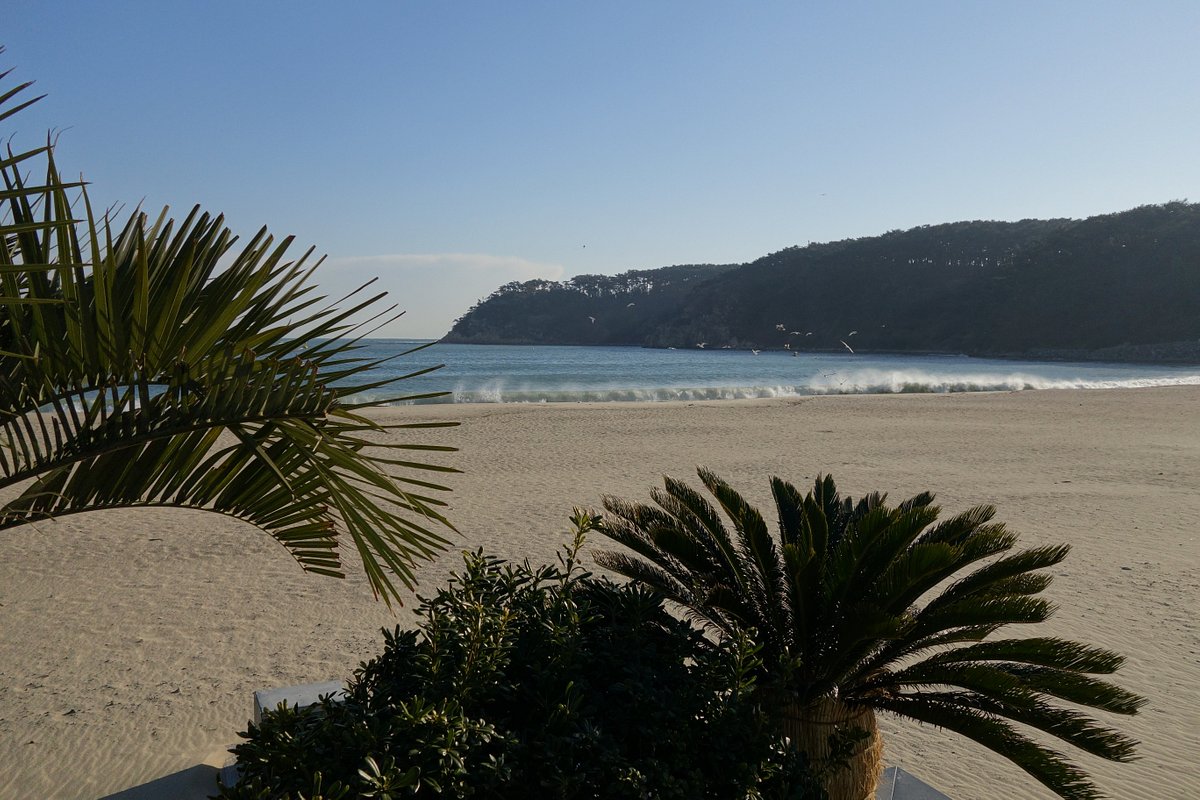 일산해수욕장(울산)