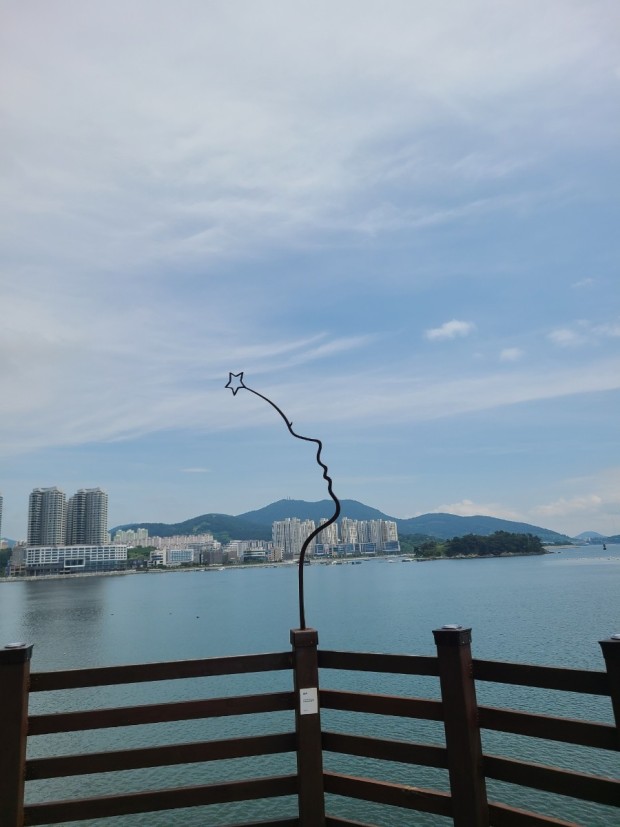장도